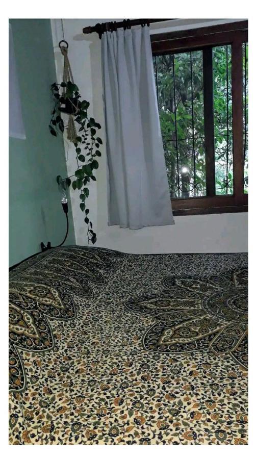 伊瓜苏港Jardin De Naipi 2公寓 外观 照片
