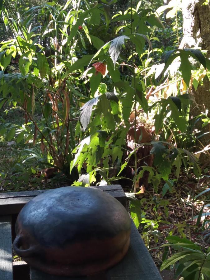 伊瓜苏港Jardin De Naipi 2公寓 外观 照片