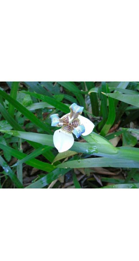 伊瓜苏港Jardin De Naipi 2公寓 外观 照片