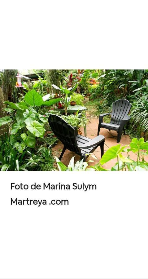 伊瓜苏港Jardin De Naipi 2公寓 外观 照片