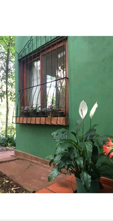 伊瓜苏港Jardin De Naipi 2公寓 外观 照片